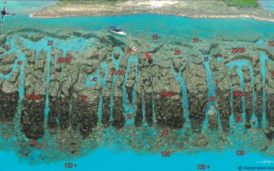 Canyon Reef